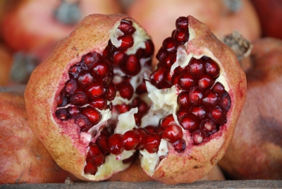 The Sprouting of the Fertile Crescent