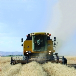 The Euphrates and Tigris Feed the Land