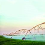 The Euphrates and Tigris Feed the Land