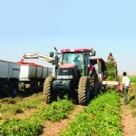 The Euphrates and Tigris Feed the Land