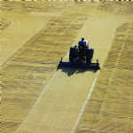 The Euphrates and Tigris Feed the Land