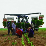 The Euphrates and Tigris Feed the Land