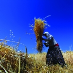 The Euphrates and Tigris Feed the Land