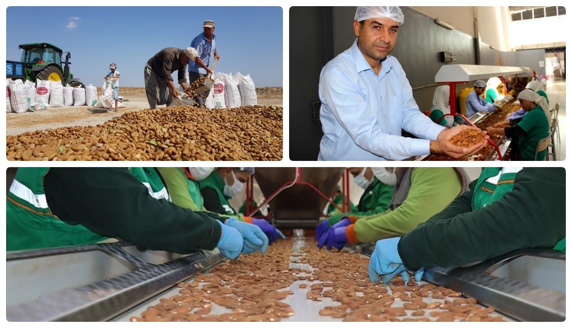 Adıyaman Kahta Almond