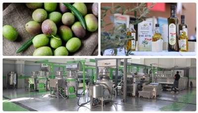 Kilis Olive and Olive Oil